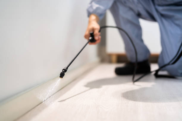 Licensed Pest Control service in Manassas Park, VA - Show Me Pest Control