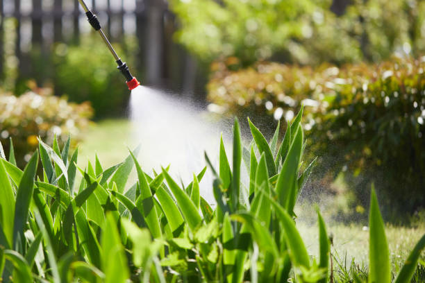 24/7 Emergency Mosquito Control experts in Manassas Park, VA
