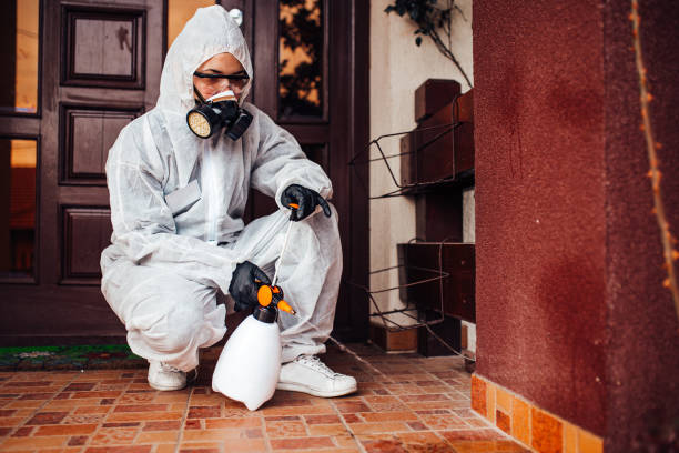Reliable Mosquito Control contractor in Manassas Park, VA by Show Me Pest Control