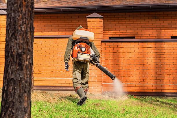 Top rated local Mosquito Control specialists in Manassas Park, VA